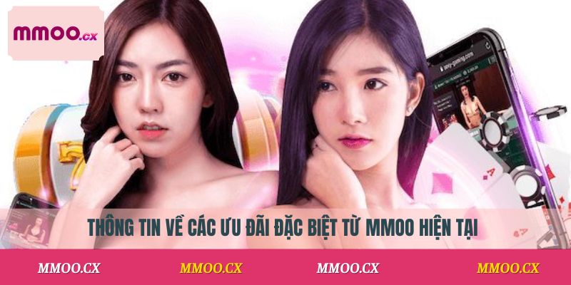 Thông tin về các ưu đãi đặc biệt từ MMOO hiện tại